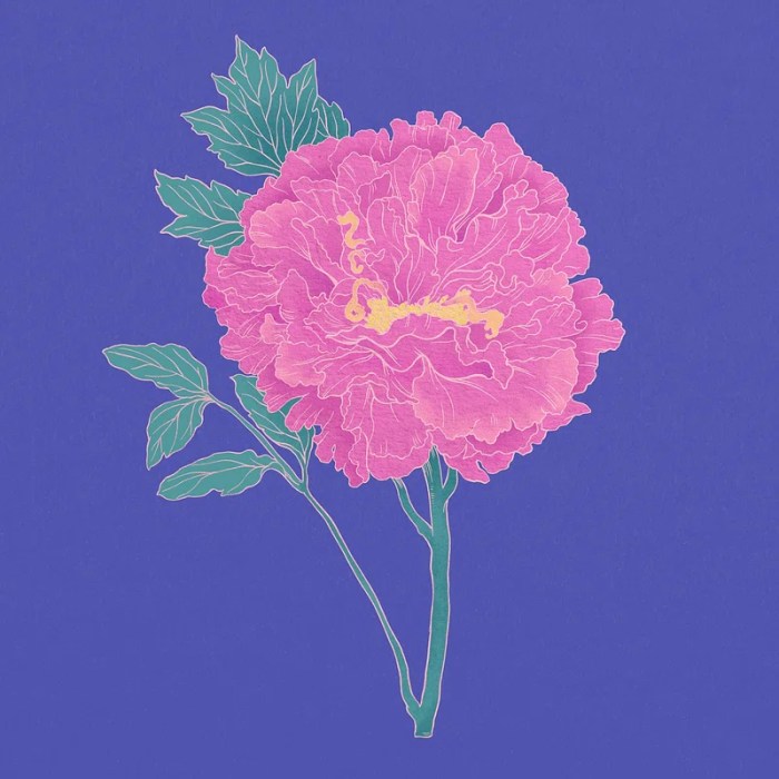 Aesthetic peony flower, Japanese illustration | Premium Photo - rawpixel Aesthetic peony flower, Japanese illustration | Premium Photo - rawpixel